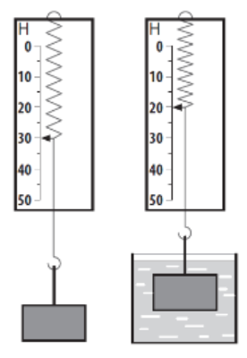 0201dccw-b8f5-276x400.png