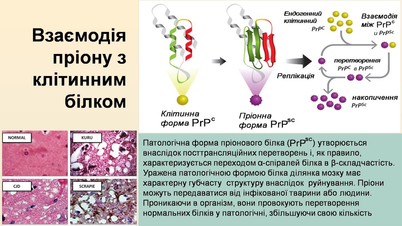 Your Picture Here Your Picture Here
