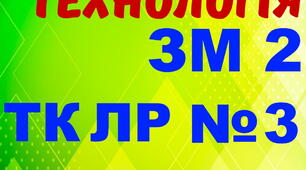 Електротехнологія. ТК ЛР №3. Варіант (загальний)