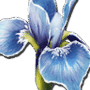 https://fs02.vseosvita.ua/0201dlbw-7073-90x90.png