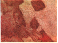 0201dltk-e5a4-202x152.png