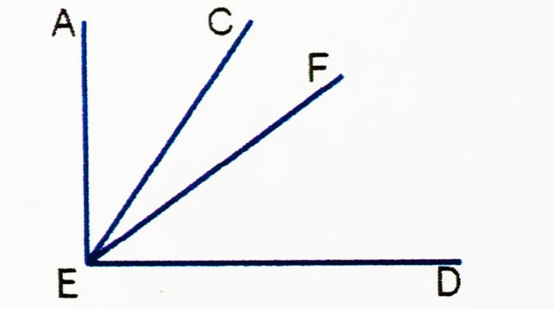 0201dnlt-5155-800x447.jpg