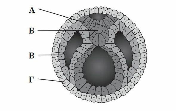 0201dpnp-8e87-590x374.jpg
