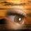Helena Lash