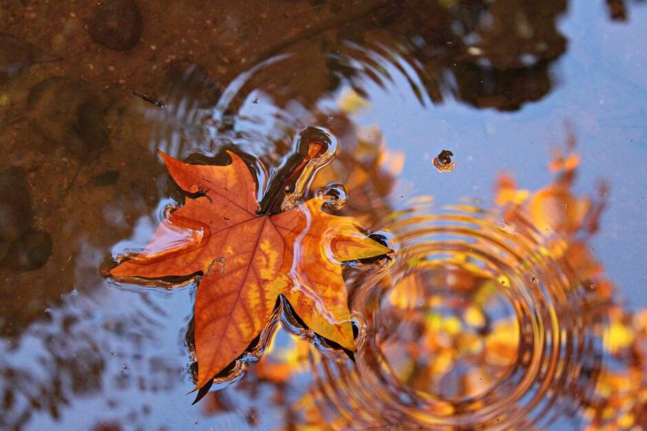 Народні прикмети сьогодні / фото pixabay.com