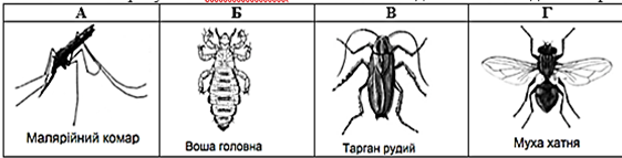 0201e03w-dfd1-562x143.png