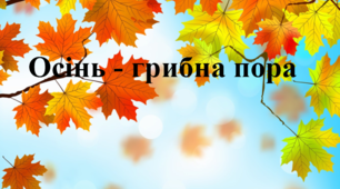 Осінь - грибна пора