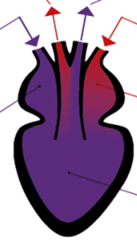 0201e0eo-e492-155x272.png