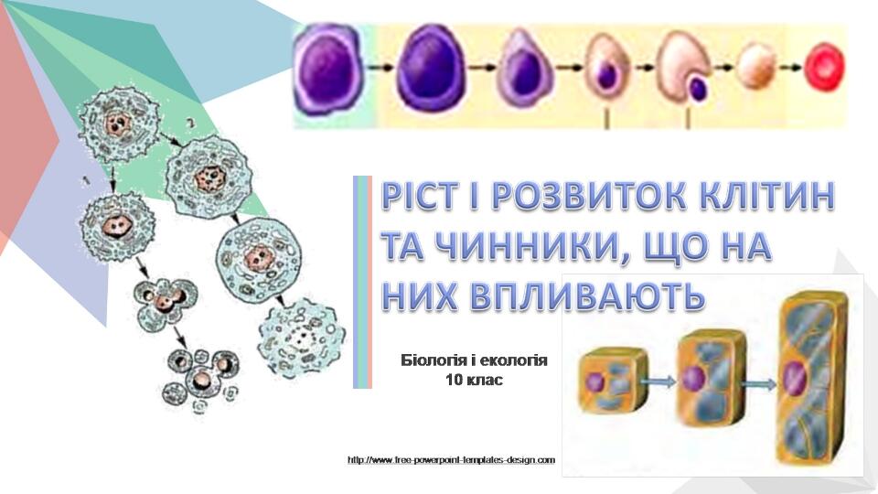 FREE PPT TEMPLATES INSTERT THE TITLE OF YOUR PRESENTATION HERE