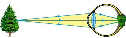0201e2hn-f658-437x133.png