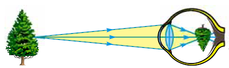 0201e2j3-db64-453x136.png