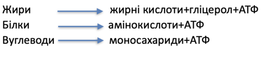 0201e45r-1fd9-523x129.png
