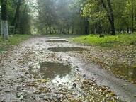 Autumn puddles Park rest Petrovskogo city Pervomaysk Nikolaevskaya area Ukraine Осінні калюжі | Mapio.net