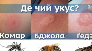 Небезпека укусів комах. ДОМЕДИЧНА ДОПОМОГА