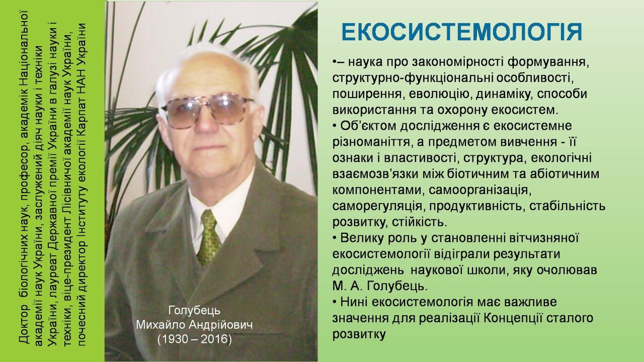 Your Picture Here