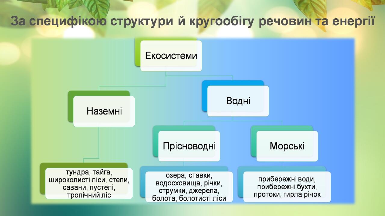 PNG & Shapes Layout
