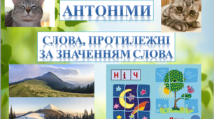 Омоніми. Синоніми. Антоніми. Пароніми