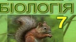(Копія) Риби