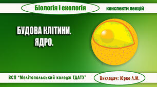 Конспект з теми "Будова клітини. Ядро"