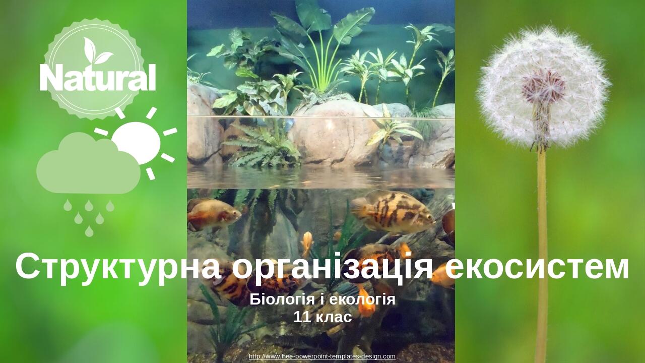 Структурна організація екосистем Біологія і екологія 11 клас http://www.free-powerpoint-templates-design.com Your Presentation Name Here Insert you...
