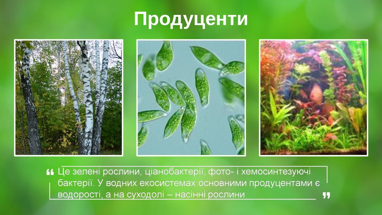 Продуценти Your Picture Here Your Picture Here Your Picture Here BASIC LAYOUT