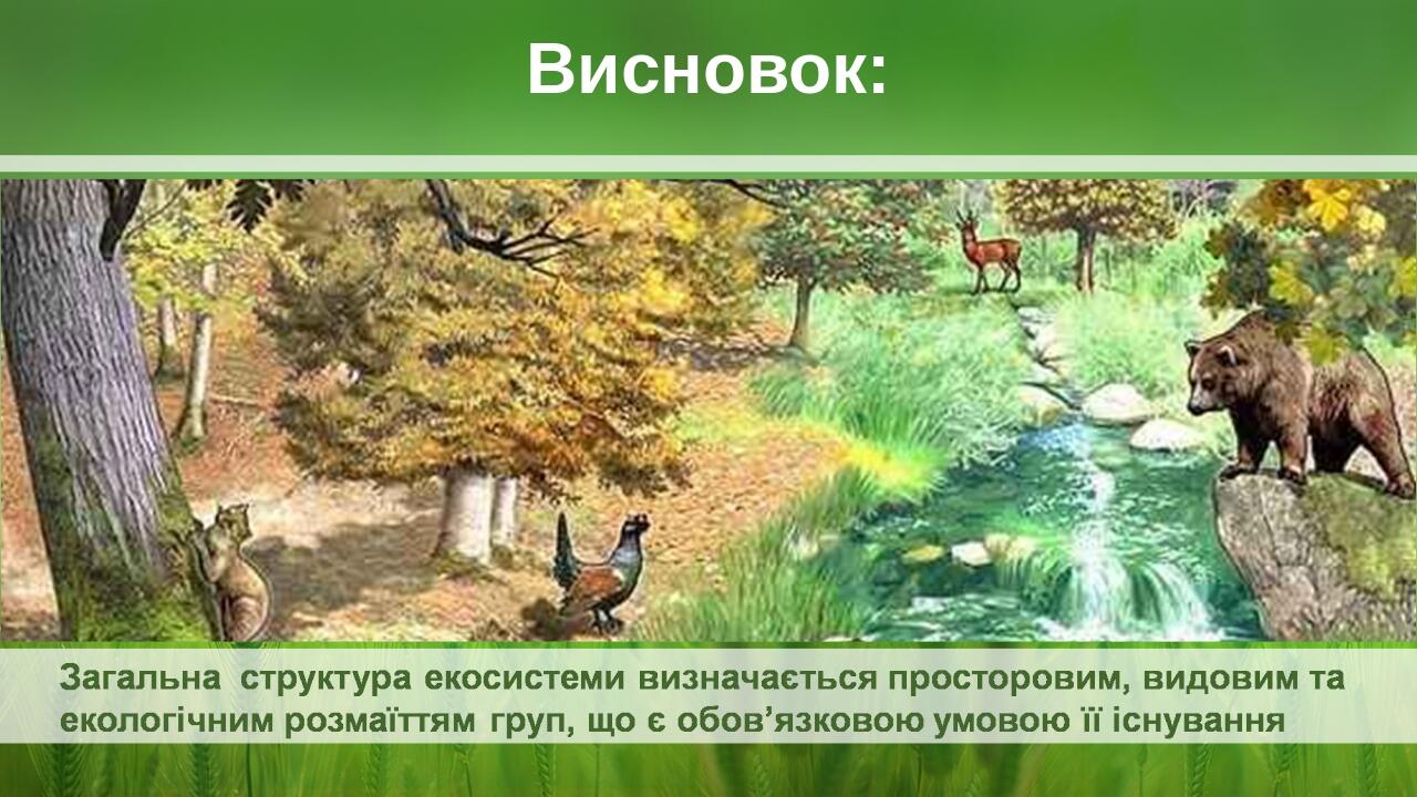 Висновок: BASIC LAYOUT Place Your Picture Here