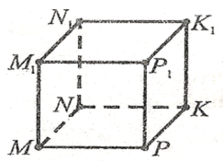 0201efoq-5aca-243x176.png