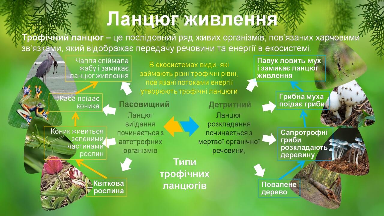 BASIC LAYOUT