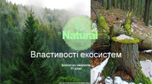 Презентація "Властивості екосистем", екологія 11 клас