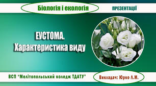 Презентація "Еустома. Характеристика виду"