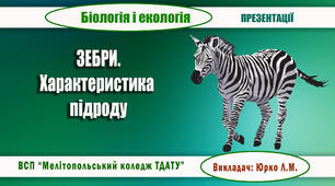 Презентація "Зебра. Характеристика підроду"