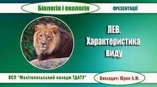 Презентація "Лев. Характеристика виду "