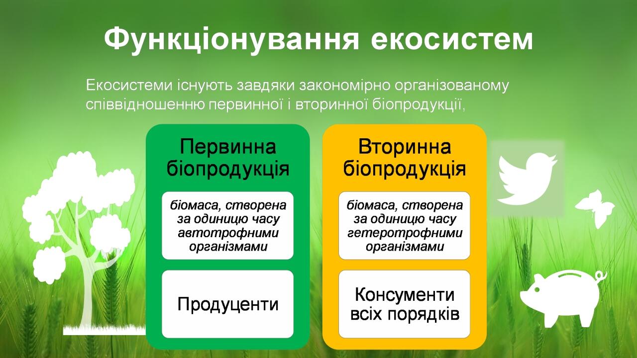 BASIC LAYOUT
