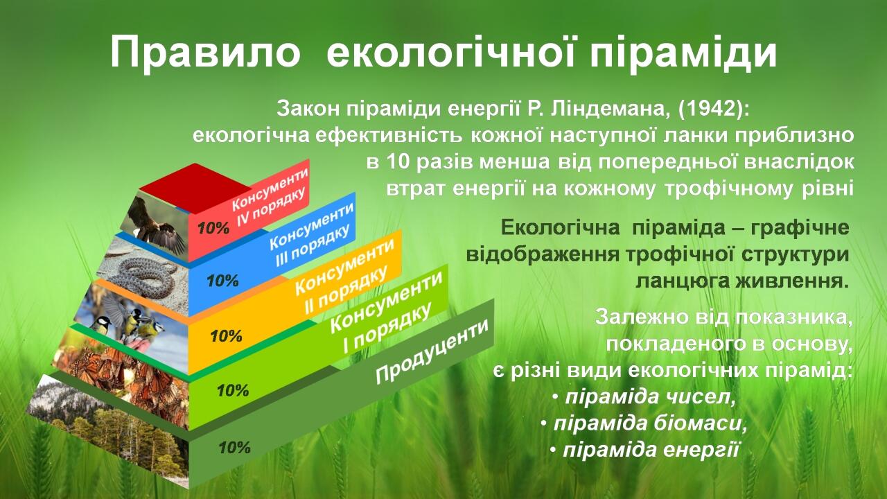 BASIC LAYOUT