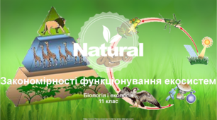 Властивості екосистем