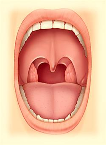 0201eusj-e45d-404x552.png