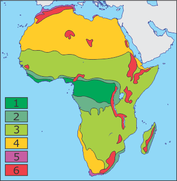 0201evof-745d-352x361.png