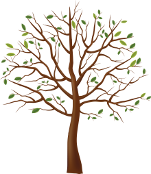 tree_PNG3492