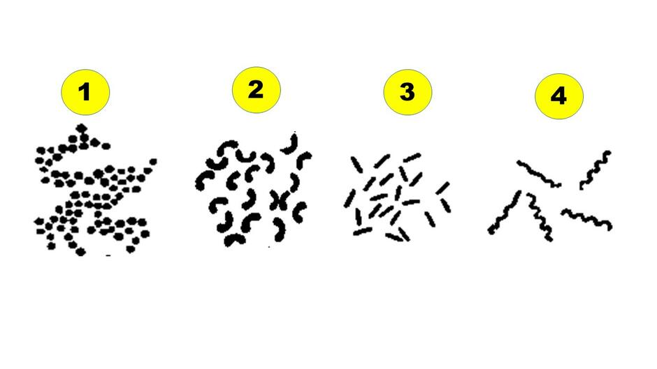 0201ewkb-2377-940x529.jpg