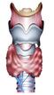 0201exfy-a3f8-61x107.jpg