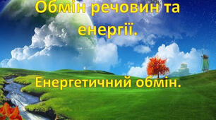 Етапи енергетичного обміну.