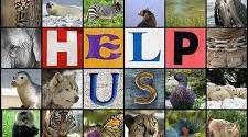 Endangered Species