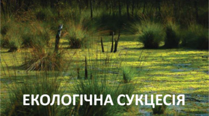 Екологічні сукцесії як процеси саморозвитку екосистем