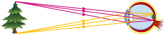0201f10v-7bc2-552x119.png