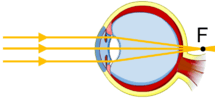 0201f182-757e-280x128.png