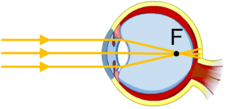 0201f18h-e53b-278x135.png