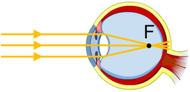 0201f18h-e53b-278x135.png