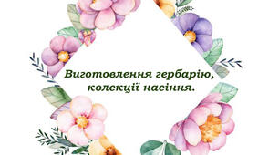 Виготовлення гербарію, колекції насіння.