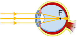 0201f1o1-36c5-246x119.png