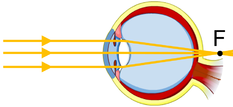 0201f1o8-1f7e-233x107.png